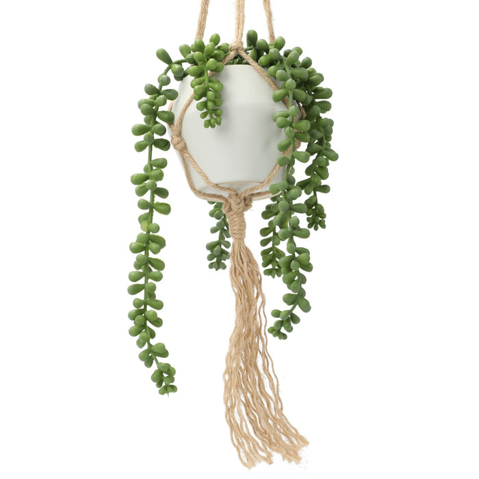 Bean Leaves in Hanging Ceramic Pot