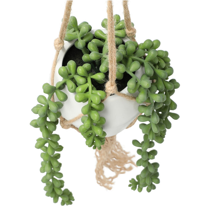 Bean Leaves in Hanging Ceramic Pot