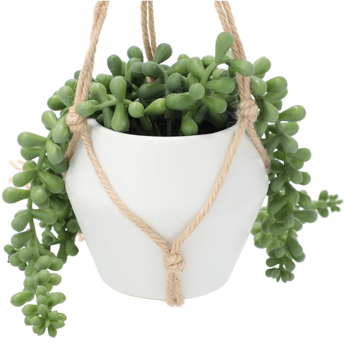 Bean Leaves in Hanging Ceramic Pot