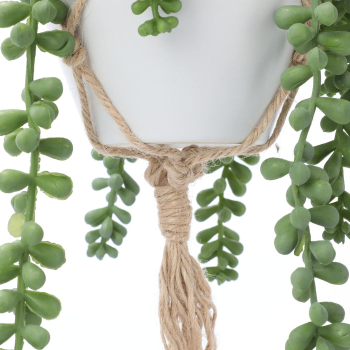 Bean Leaves in Hanging Ceramic Pot