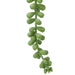 Bean Leaves in Hanging Ceramic Pot