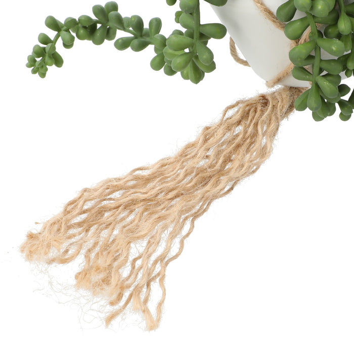 Bean Leaves in Hanging Ceramic Pot
