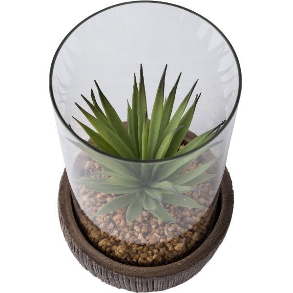 Sword Grass in Cement Holder with Glass and stones HA34086GN