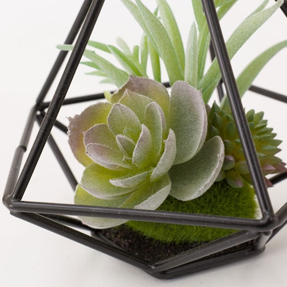 SUCCULENT IN WIRE STAND HA324830MIX