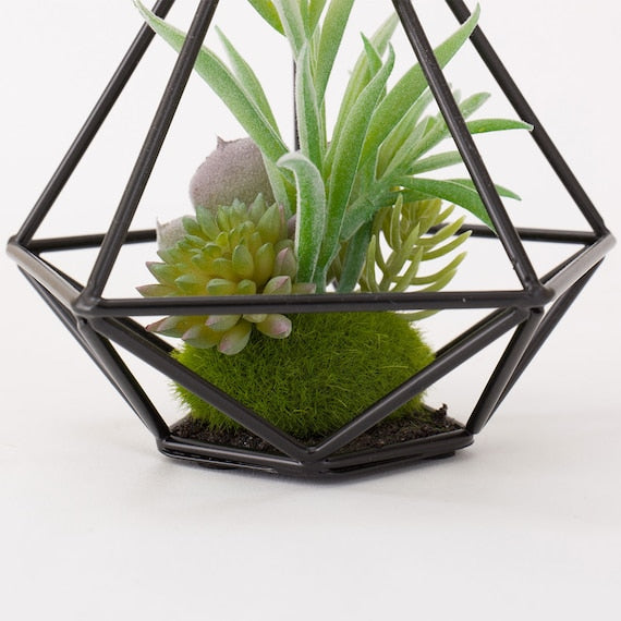 SUCCULENT IN WIRE STAND HA324830MIX
