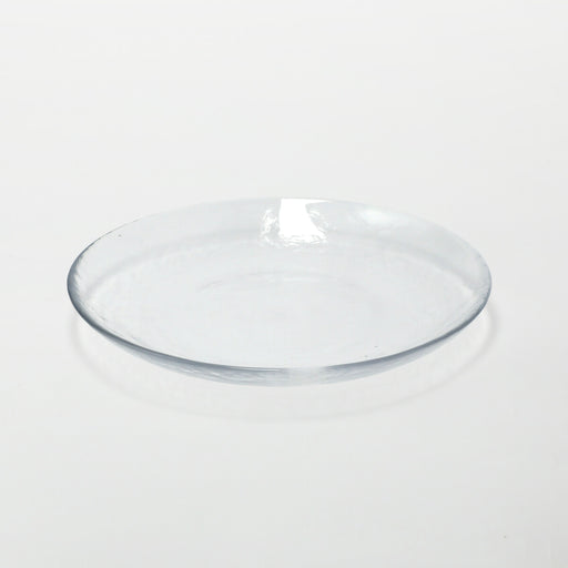 GLASS PLATE NTM09