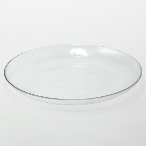 GLASS PLATE NTM01