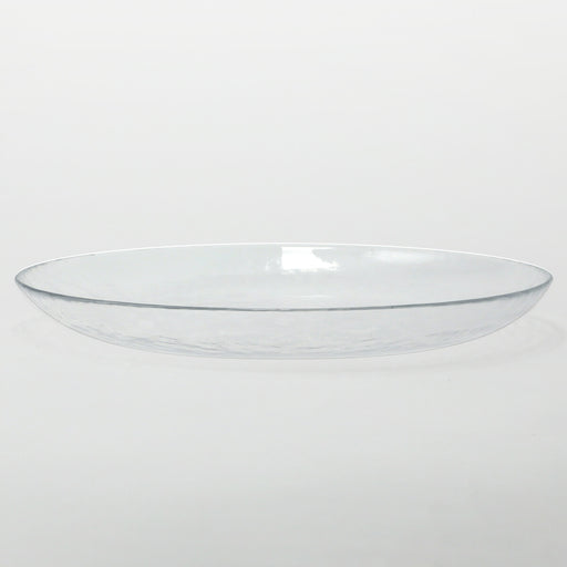 GLASS PLATE NTM01