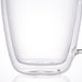 DOUBLE LAYER GLASS MUG FLAVOR 250ML